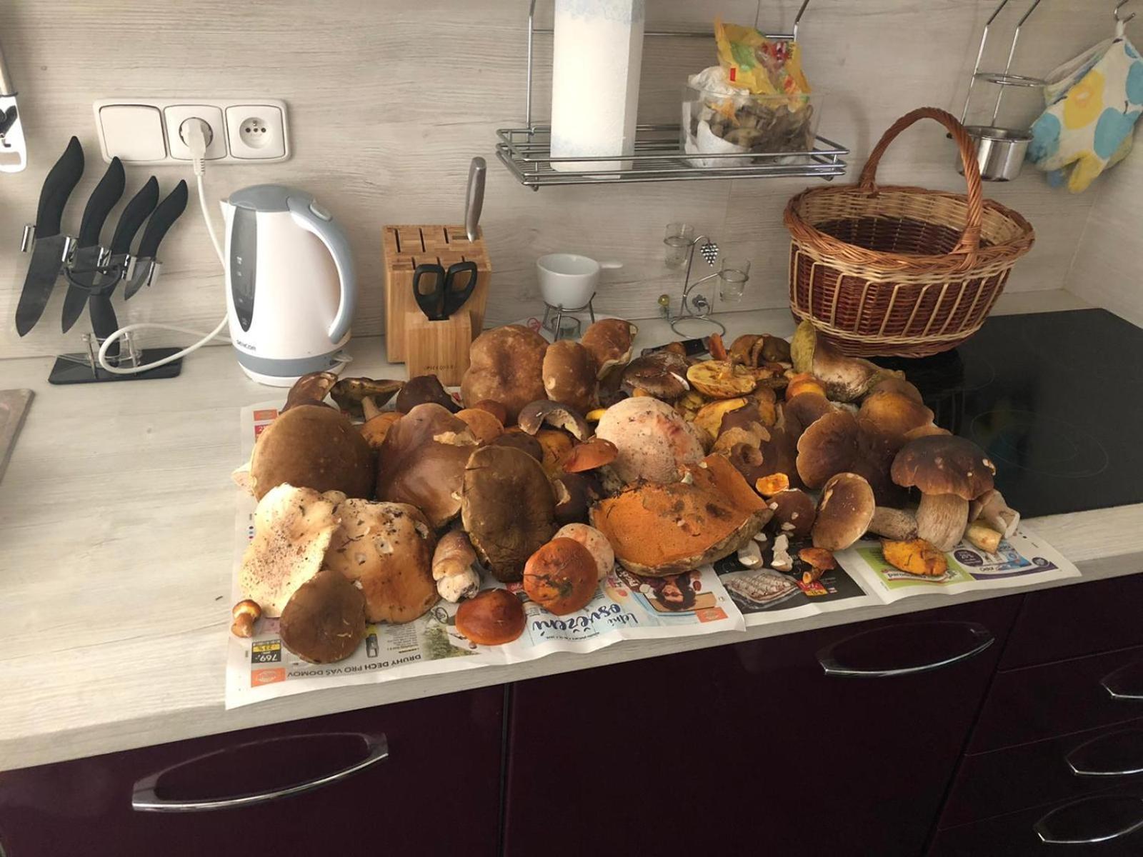 Apartman Boruvka Česká Kamenice Buitenkant foto